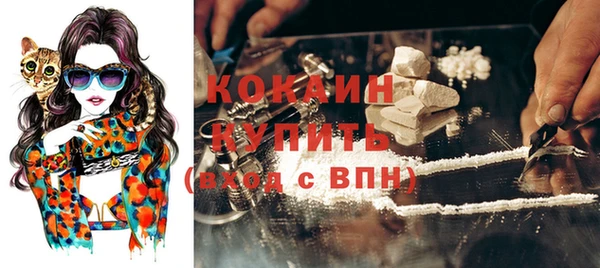 трава Богородицк