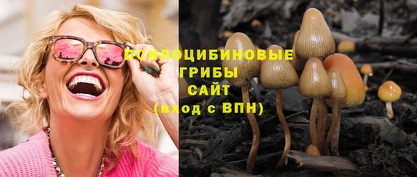 трава Богородицк