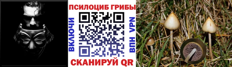 что такое   Острогожск  Псилоцибиновые грибы мухоморы 